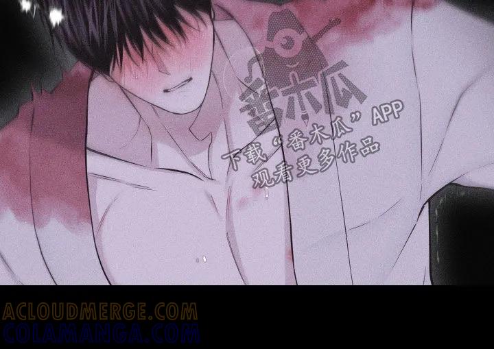 《瓷器》第119章：【第三季】快说你爱我 第9页