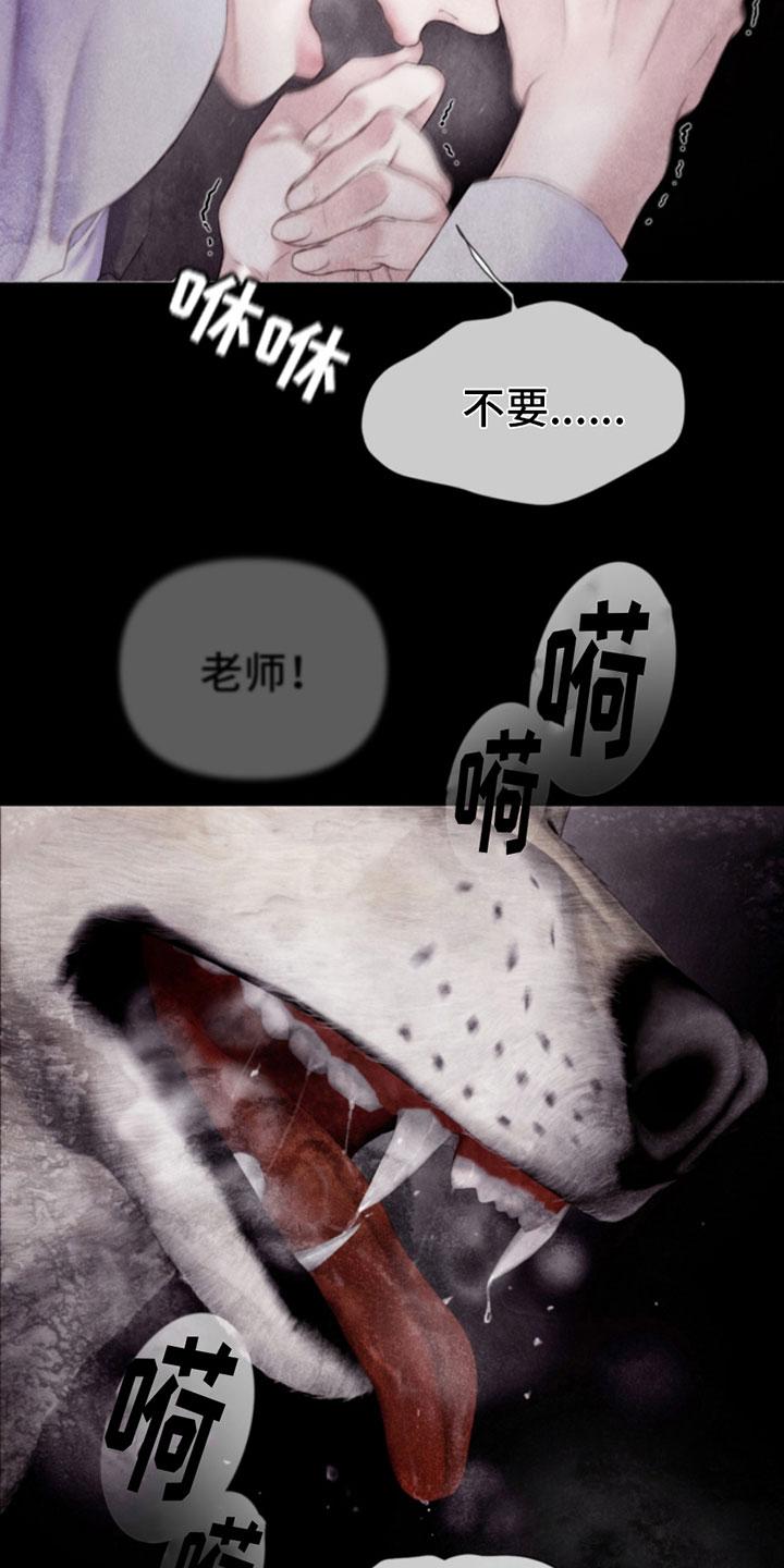 《致命咨询》第13章：报警 第12页