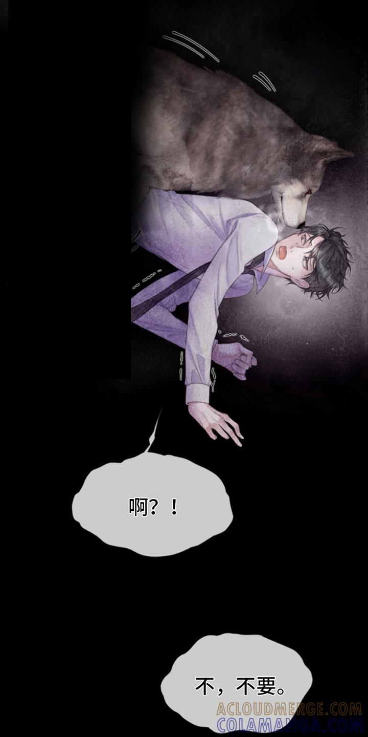 《致命咨询》第13章：报警 第9页