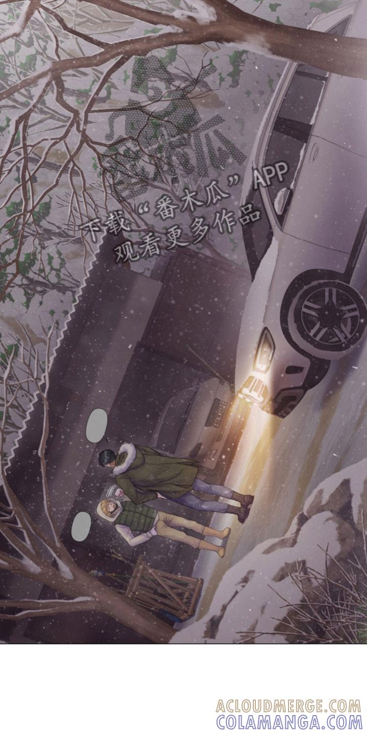 《致命咨询》第14章：雪中小屋 第11页