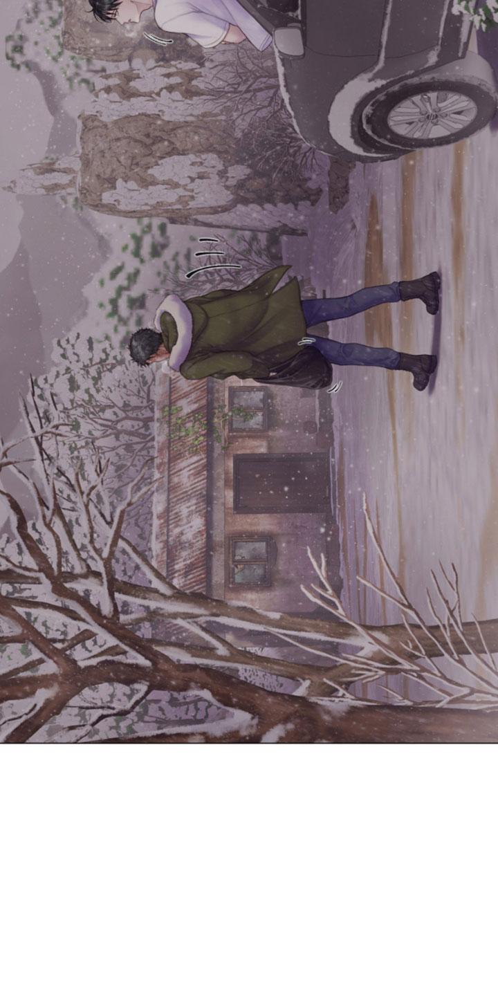 《致命咨询》第14章：雪中小屋 第20页
