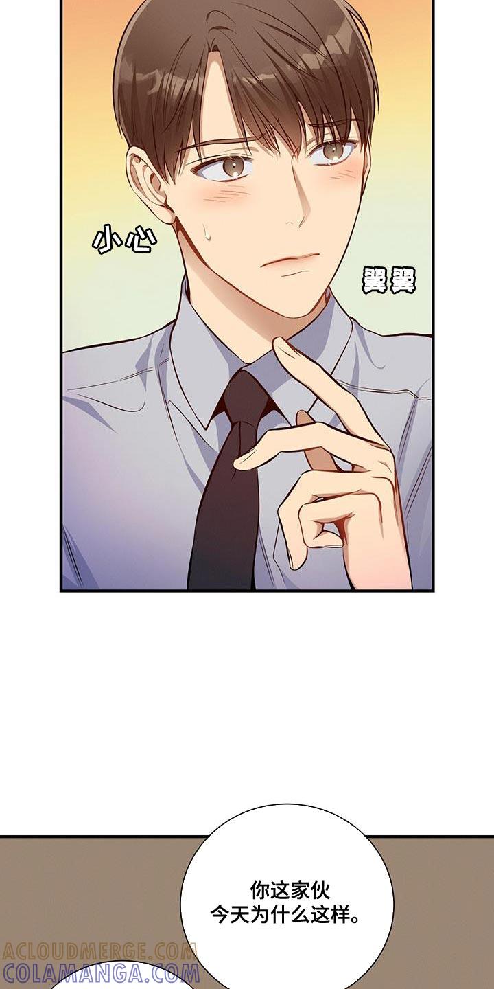 《遗失的道德》第151章：【第二季】明年会再见的 第15页