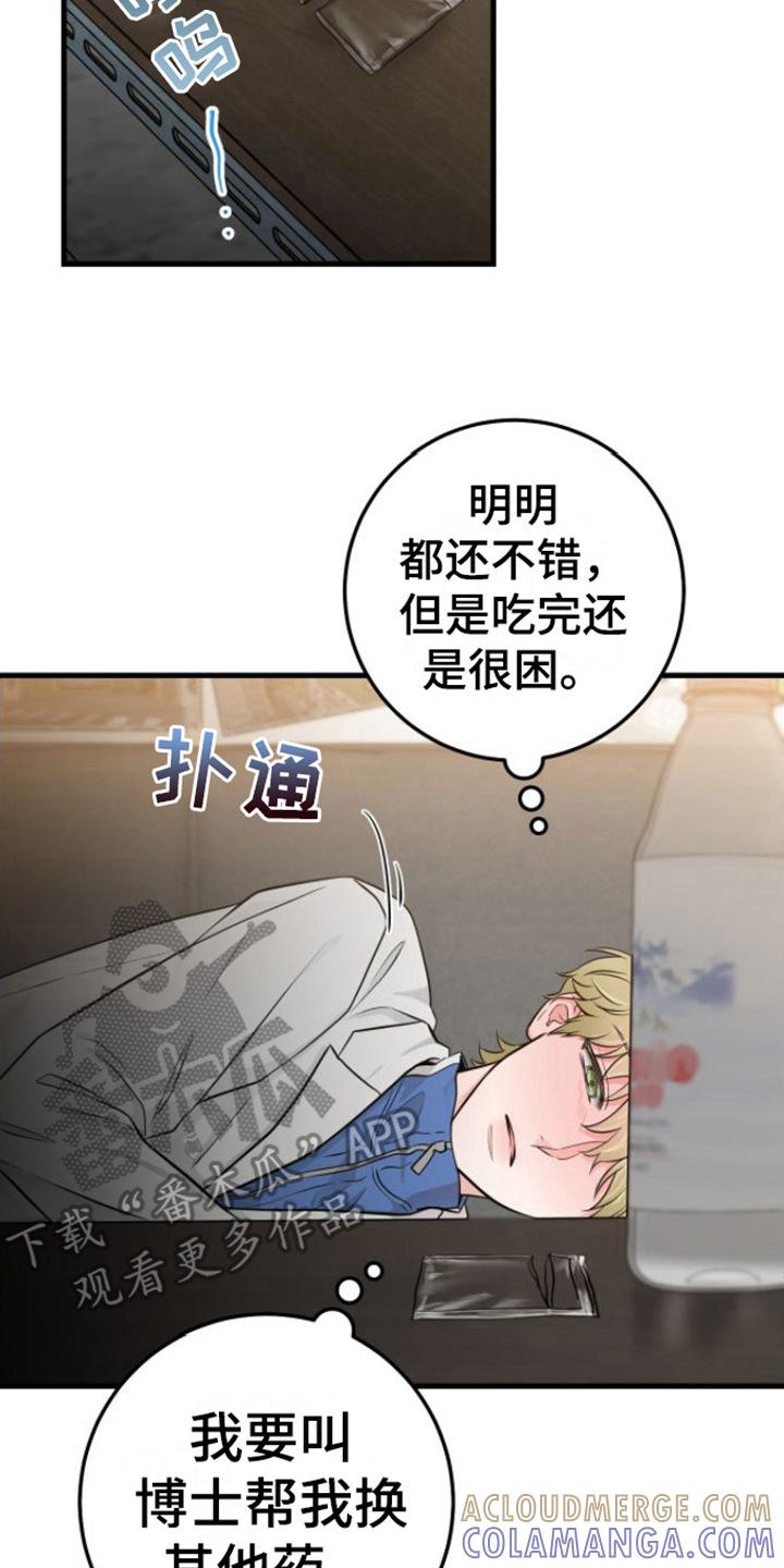 《绝命重逢》第16章：视频汇报 第17页