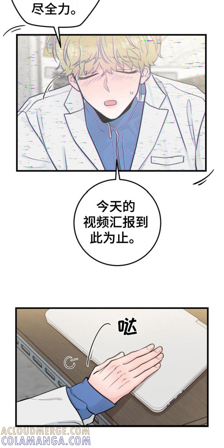 《绝命重逢》第16章：视频汇报 第15页
