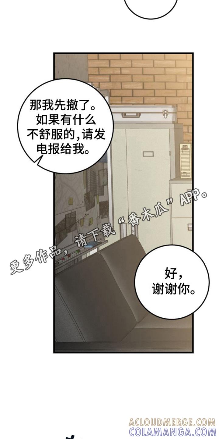 《绝命重逢》第16章：视频汇报 第5页