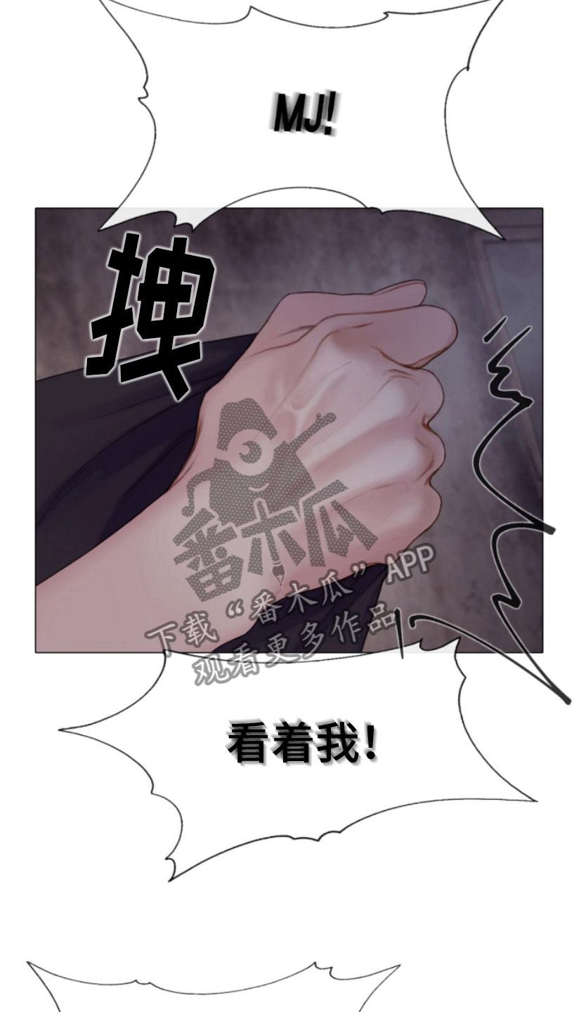 《致命咨询》第16章：迫进 第20页