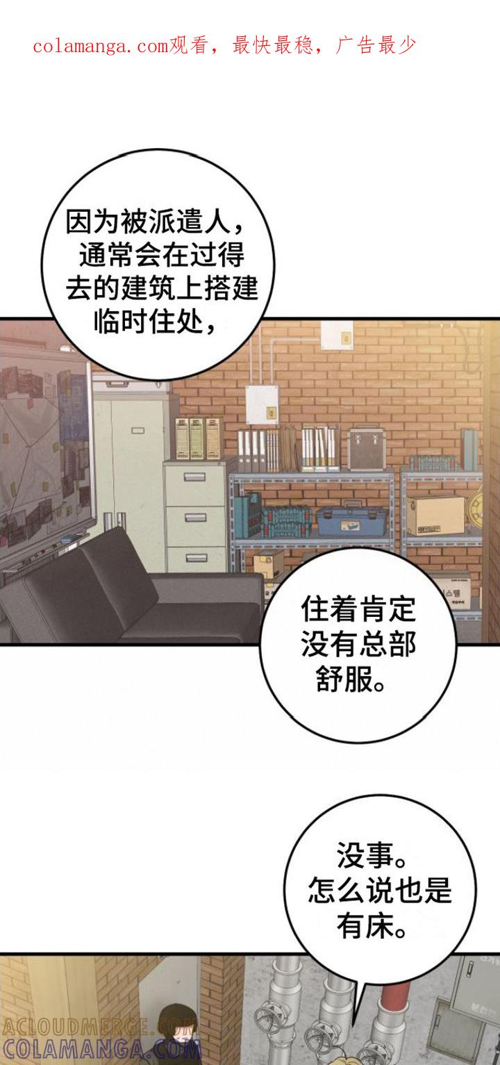 《绝命重逢》第16章：视频汇报 第1页