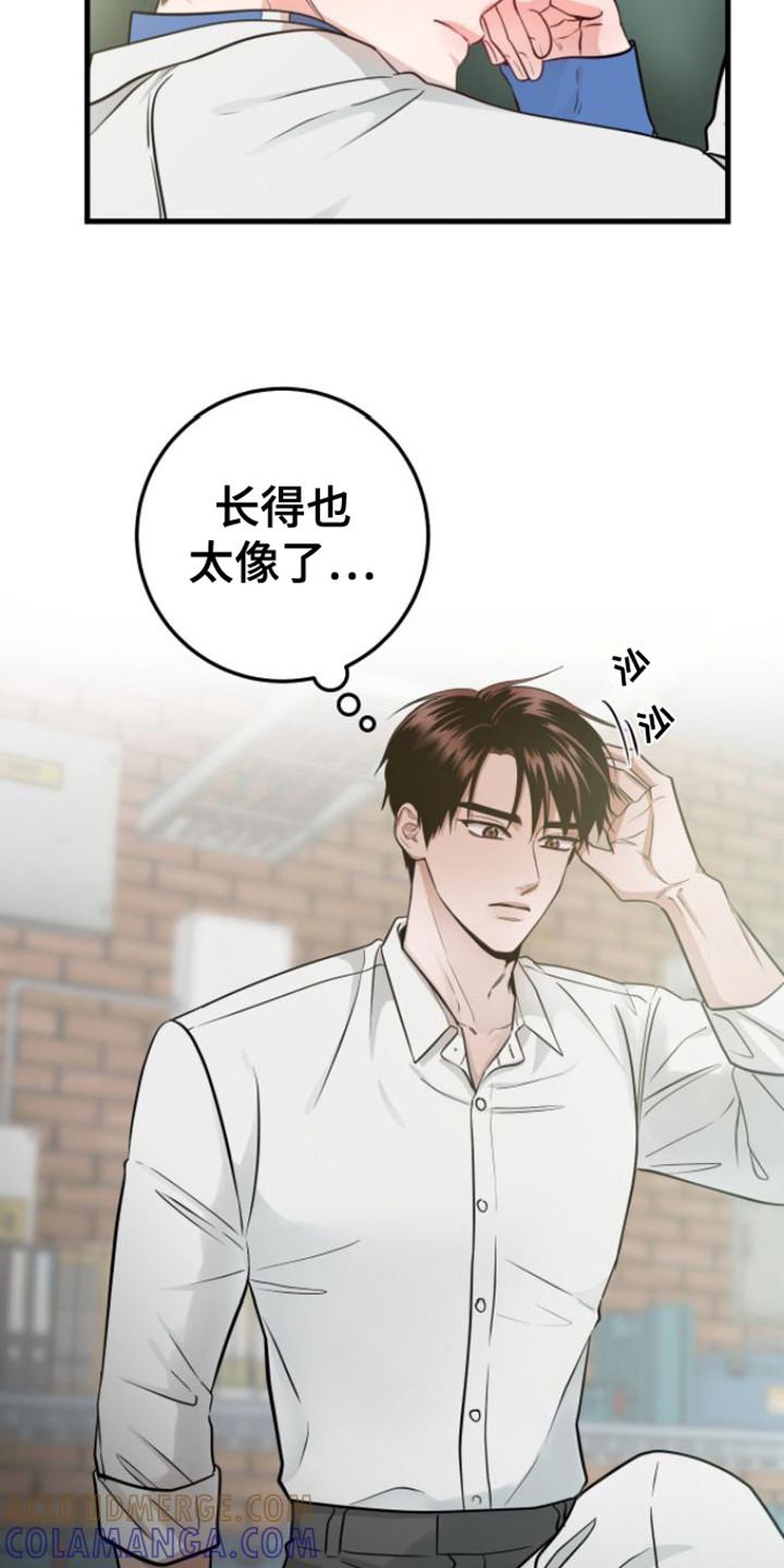 《绝命重逢》第19章：心软 第15页