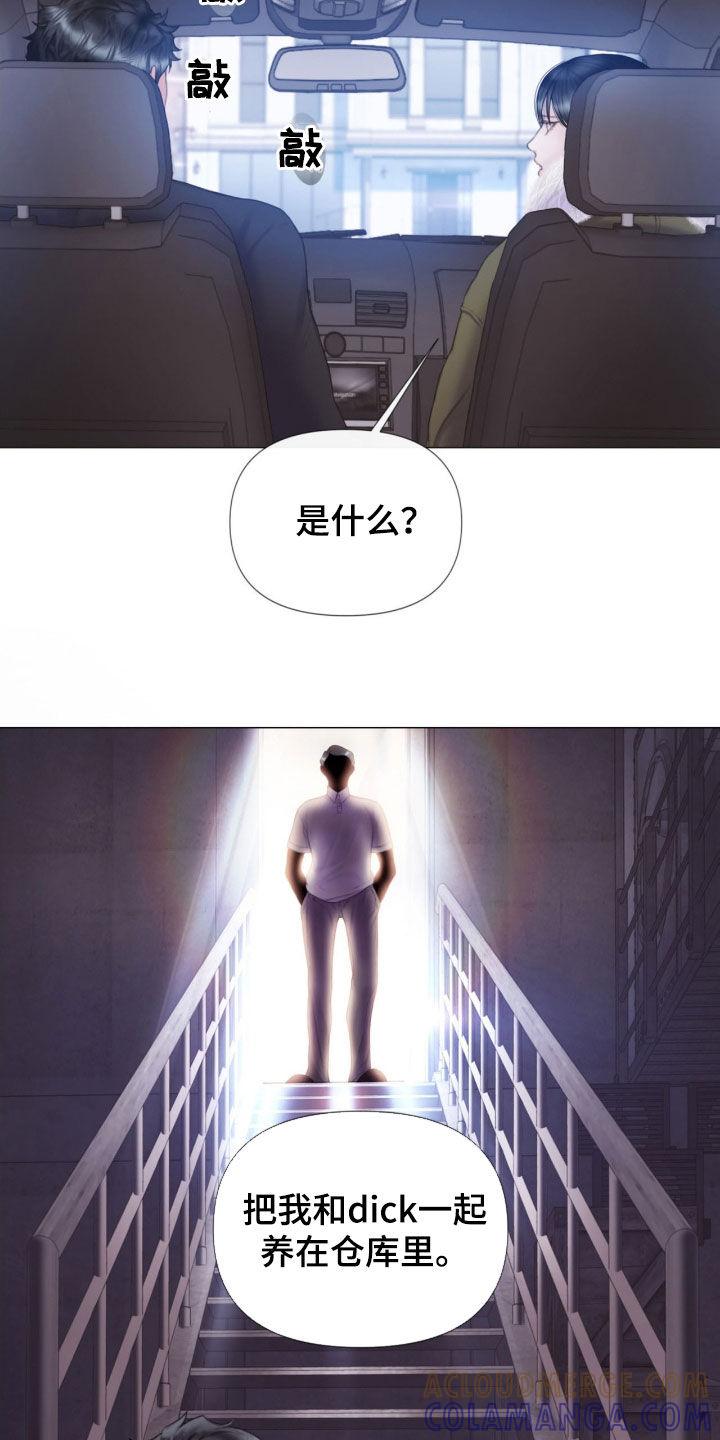 《致命咨询》第21章：本能 第17页