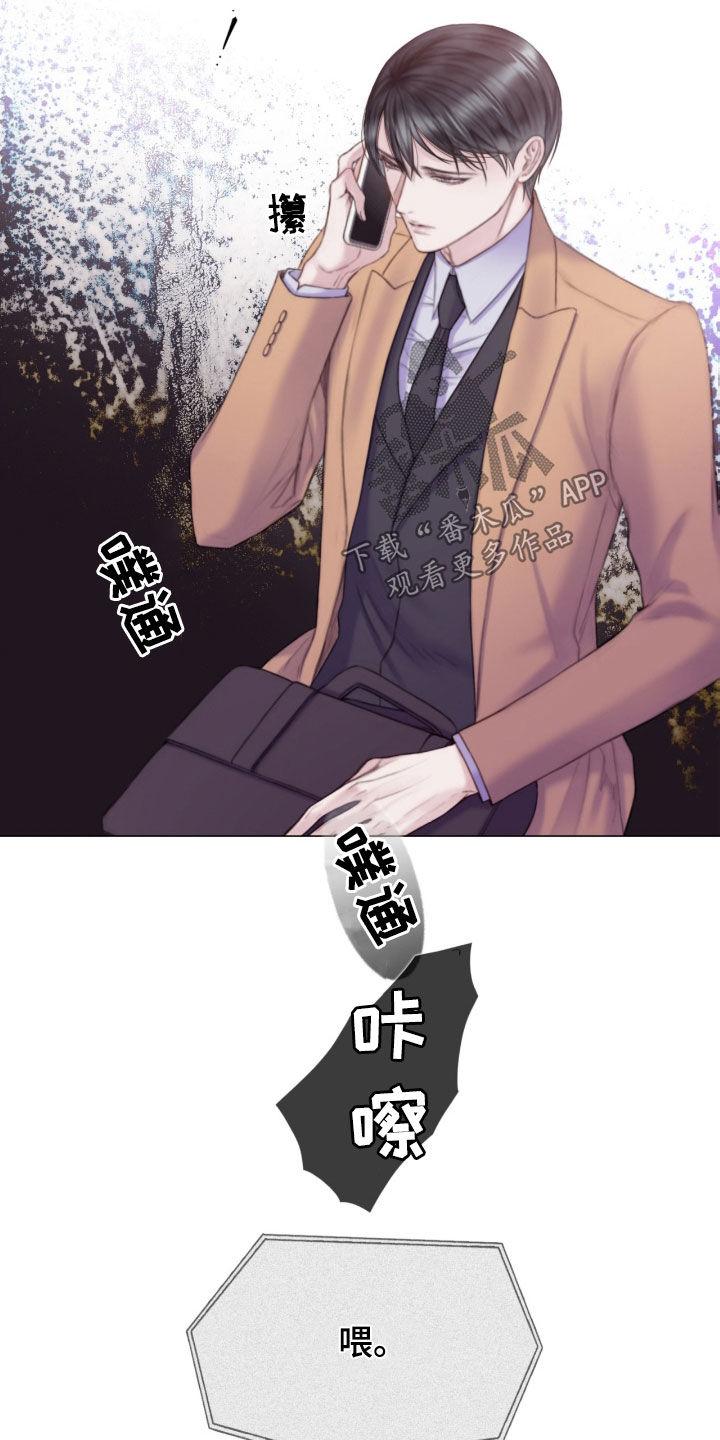 《致命咨询》第25章：谎言 第18页
