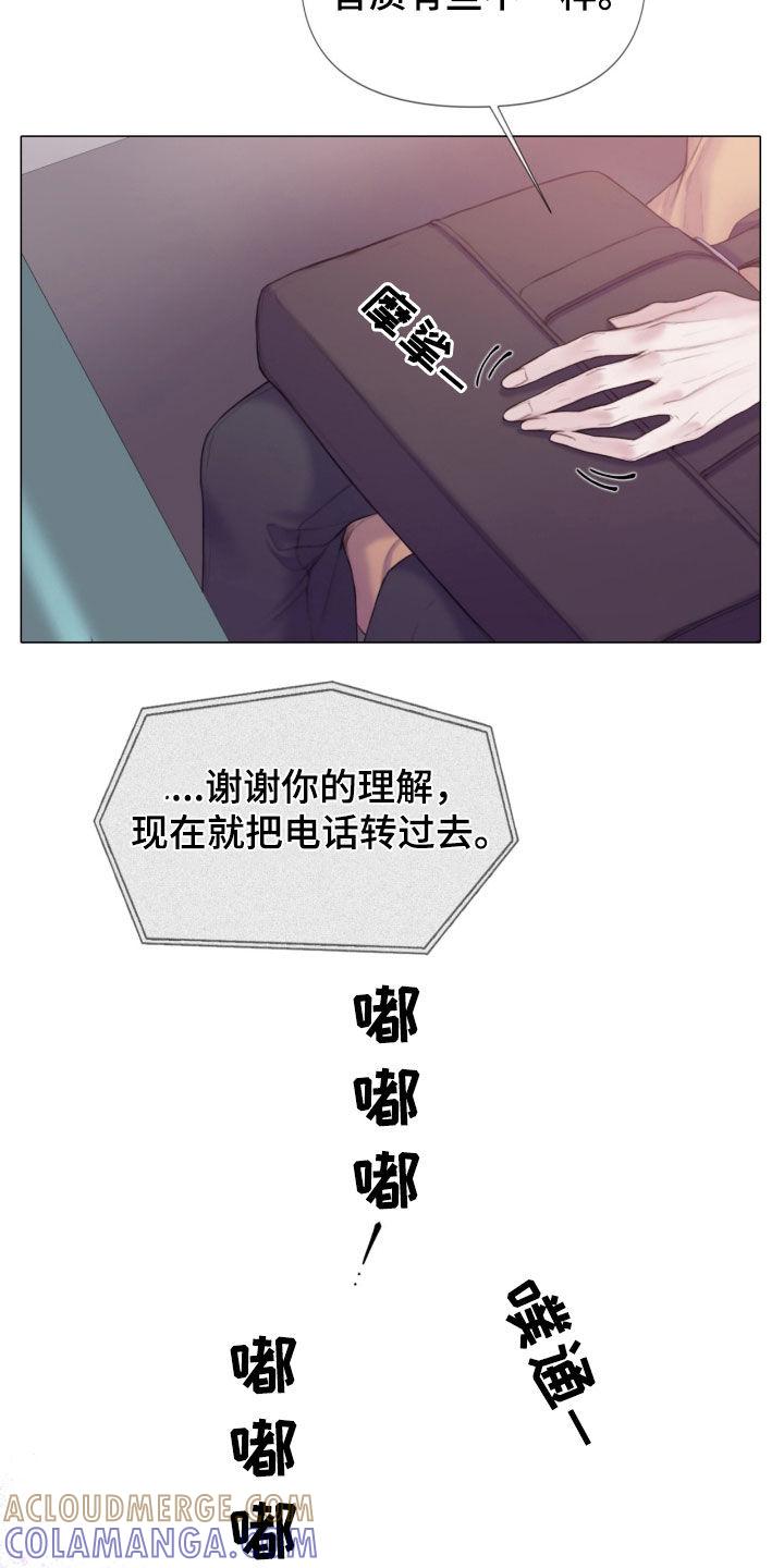 《致命咨询》第25章：谎言 第17页