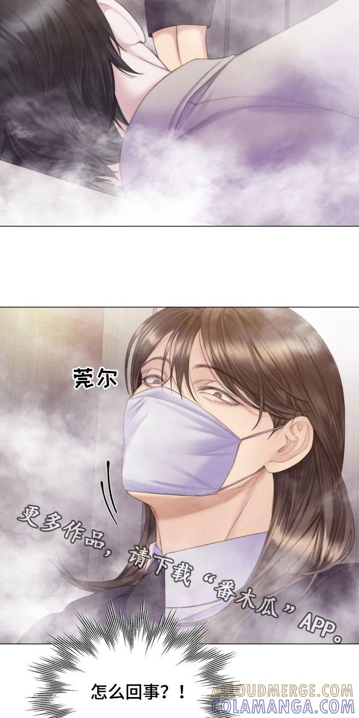 《致命咨询》第26章：烟雾 第25页