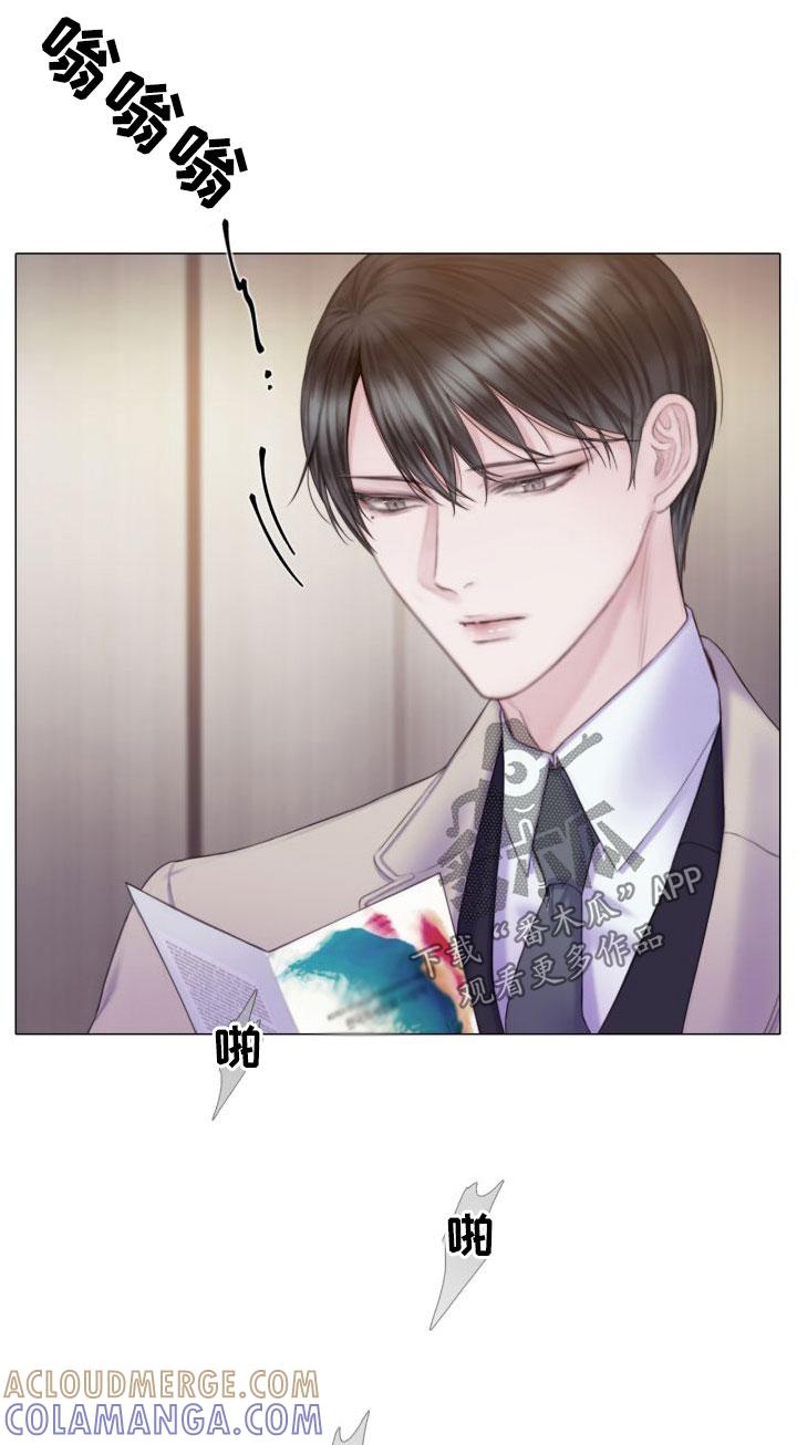 《致命咨询》第26章：烟雾 第17页