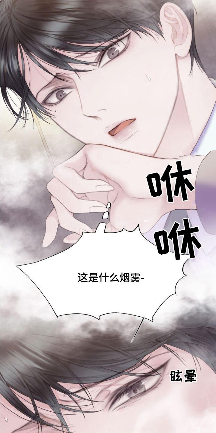 《致命咨询》第26章：烟雾 第22页