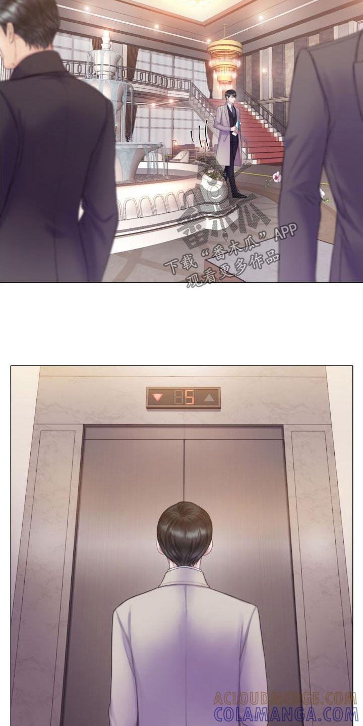 《致命咨询》第26章：烟雾 第13页