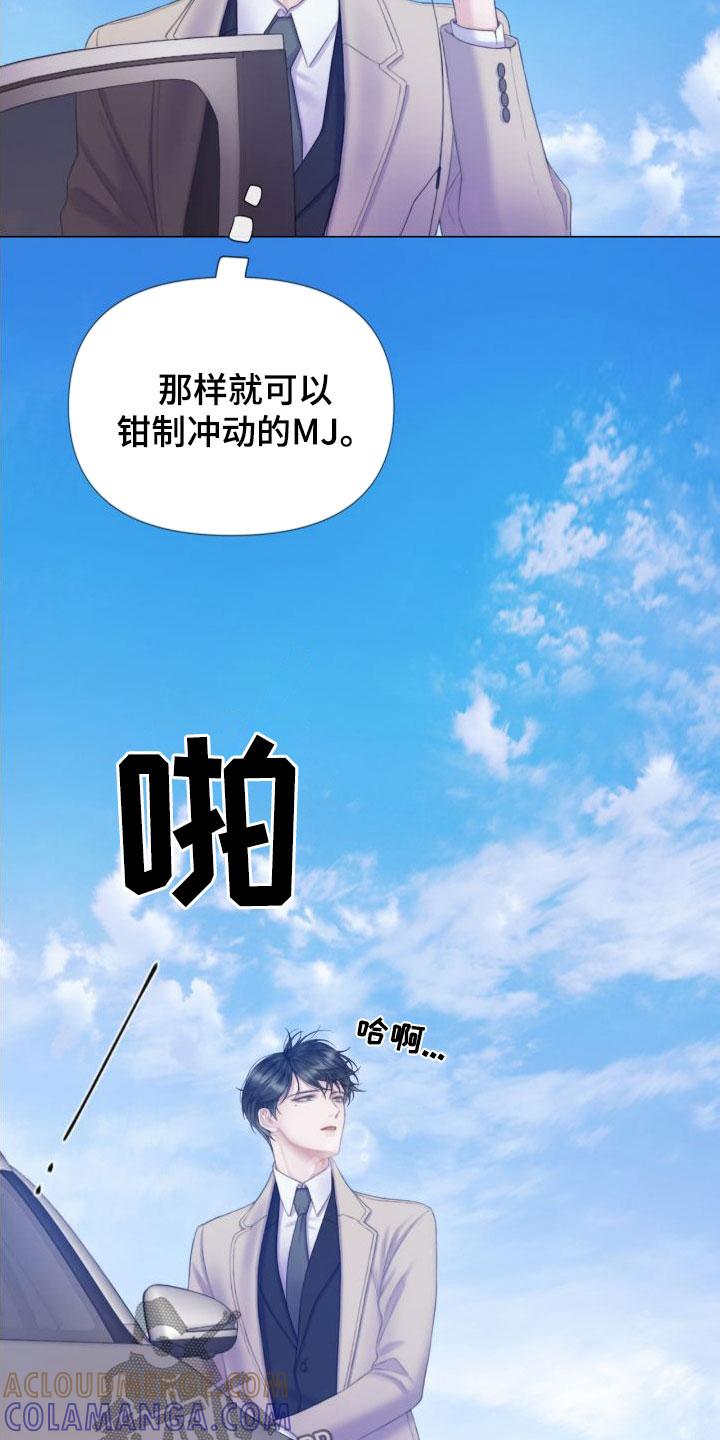 《致命咨询》第26章：烟雾 第11页