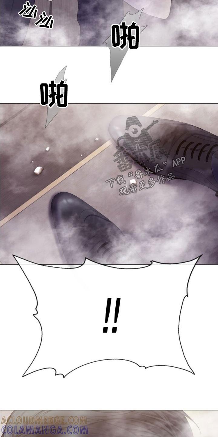 《致命咨询》第26章：烟雾 第21页