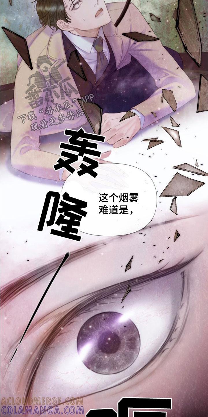 《致命咨询》第27章：幻觉 第3页