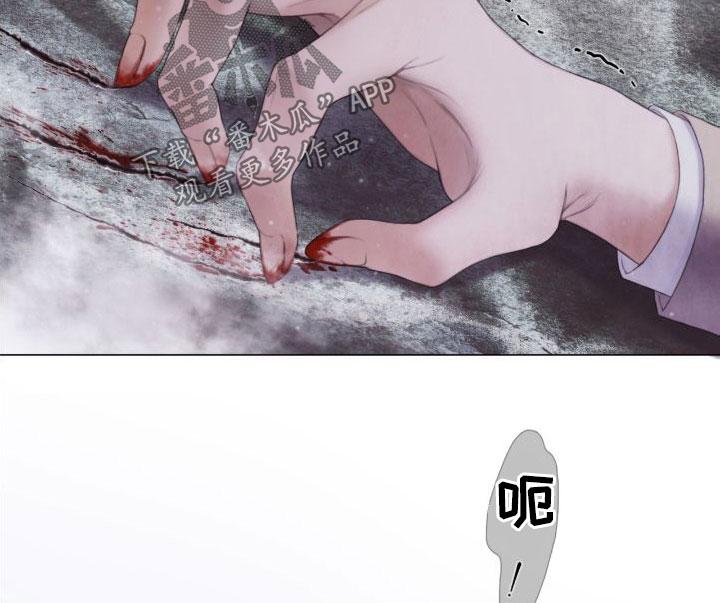 《致命咨询》第27章：幻觉 第10页