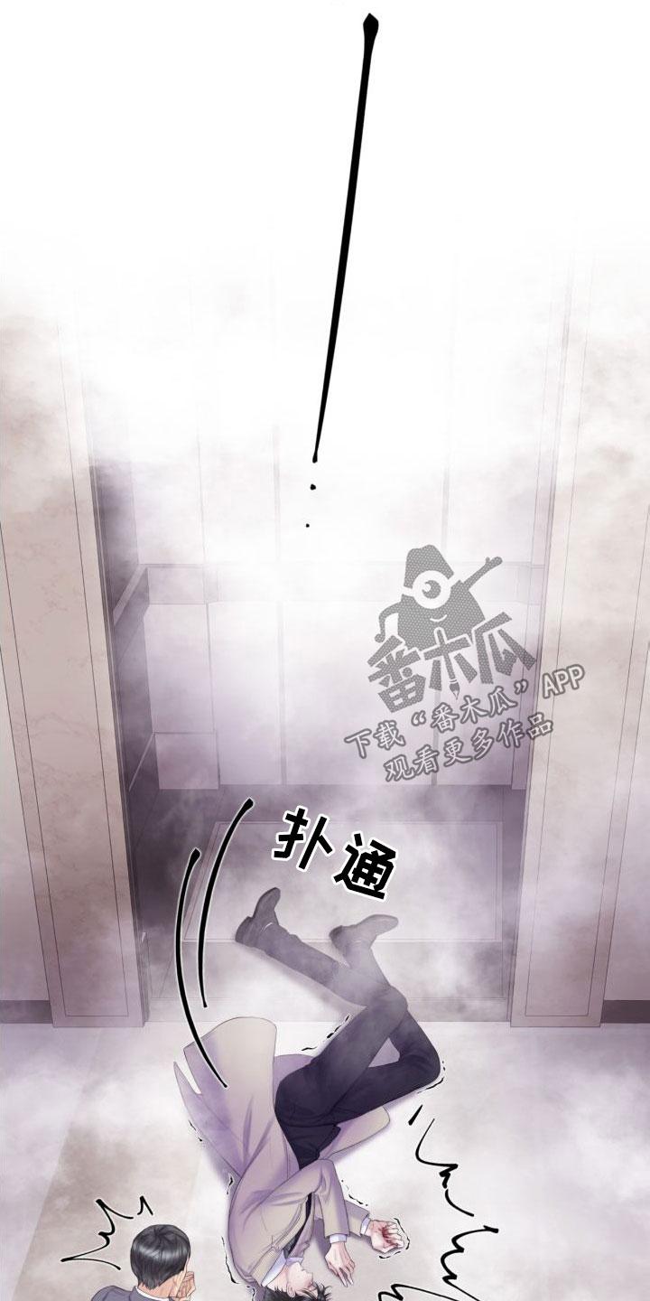 《致命咨询》第27章：幻觉 第24页