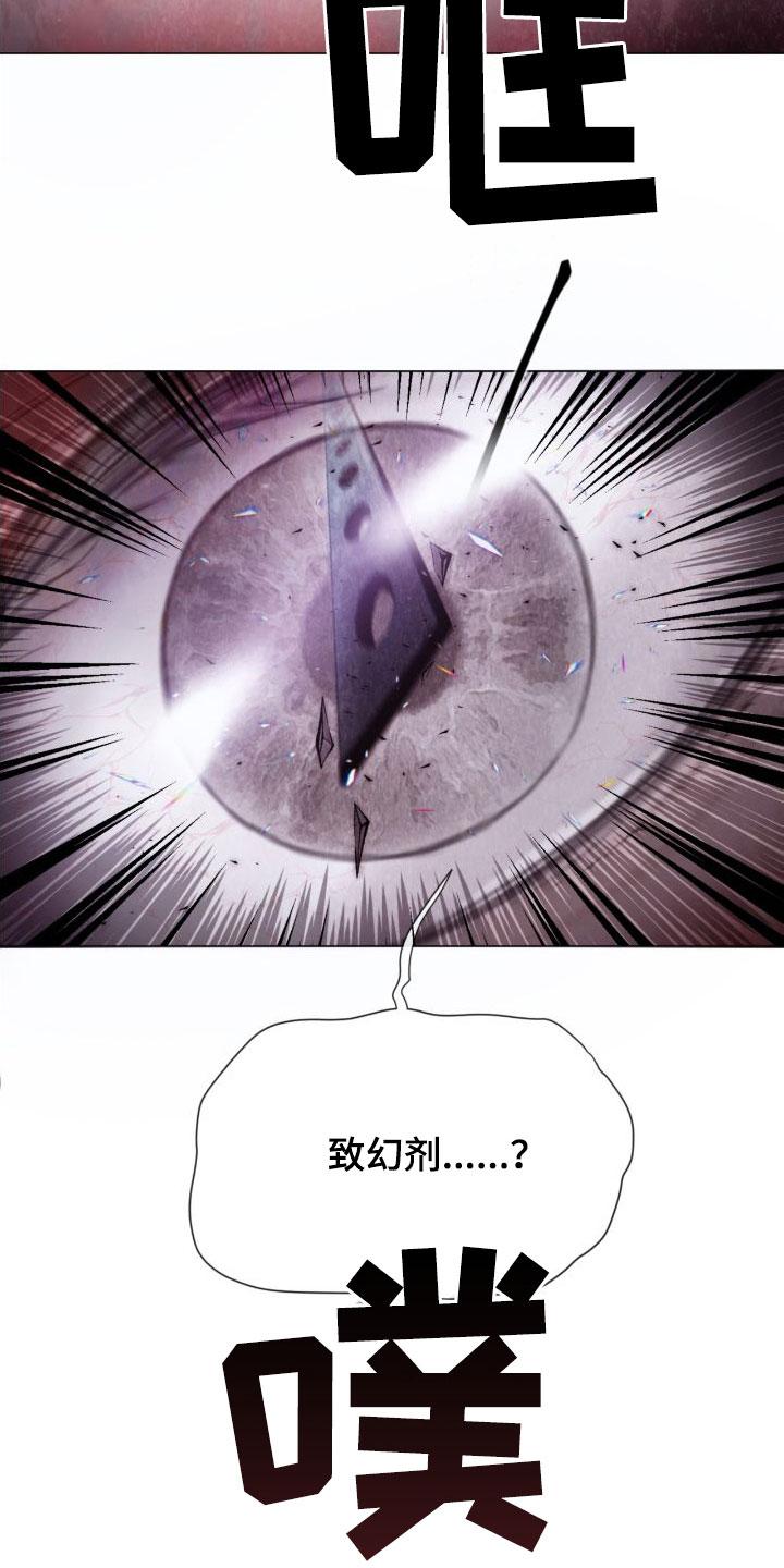 《致命咨询》第27章：幻觉 第4页