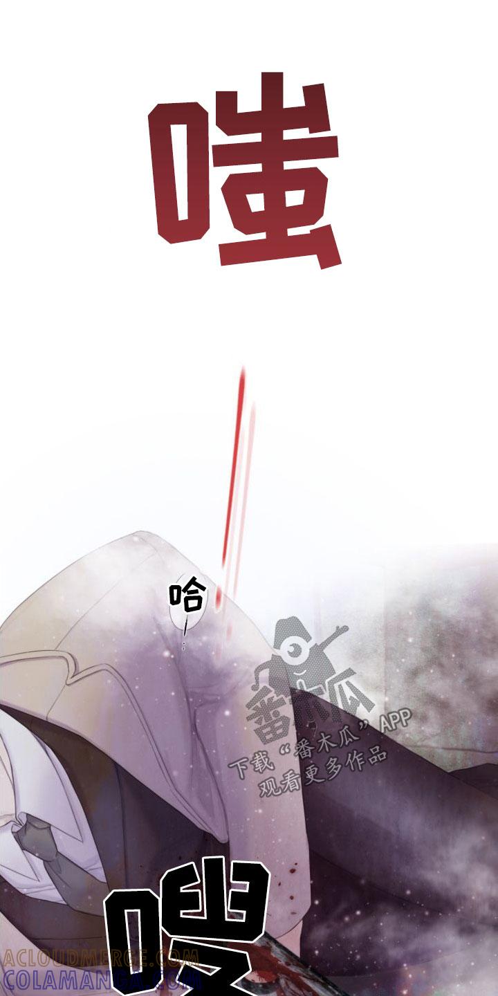 《致命咨询》第27章：幻觉 第5页