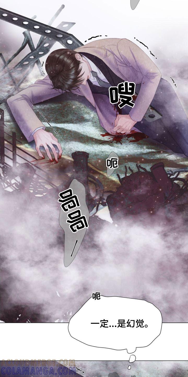 《致命咨询》第27章：幻觉 第11页