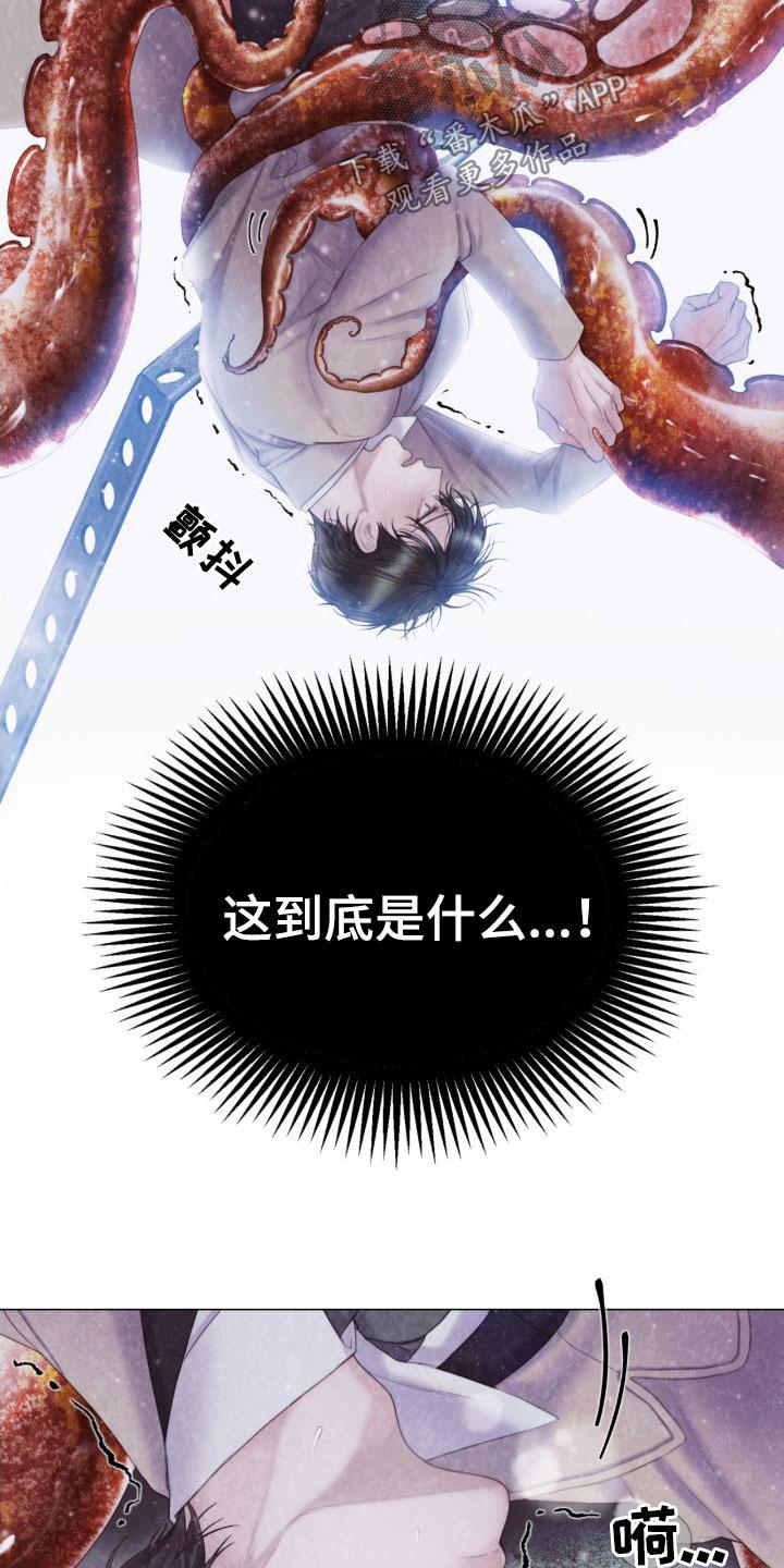《致命咨询》第27章：幻觉 第16页