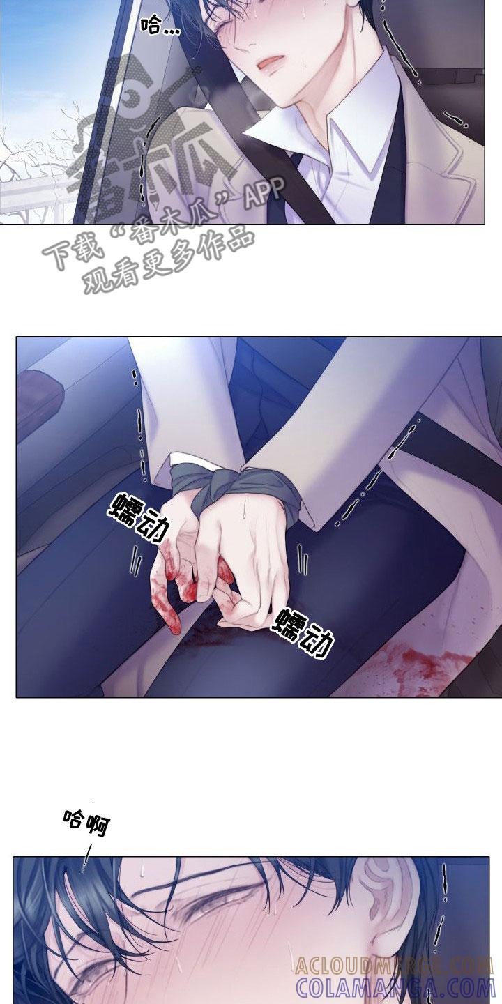 《致命咨询》第28章：趁早除掉 第17页