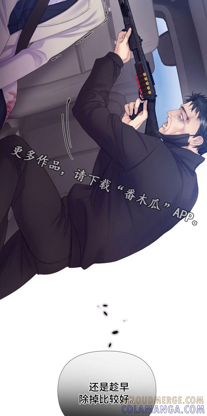《致命咨询》第28章：趁早除掉 第27页