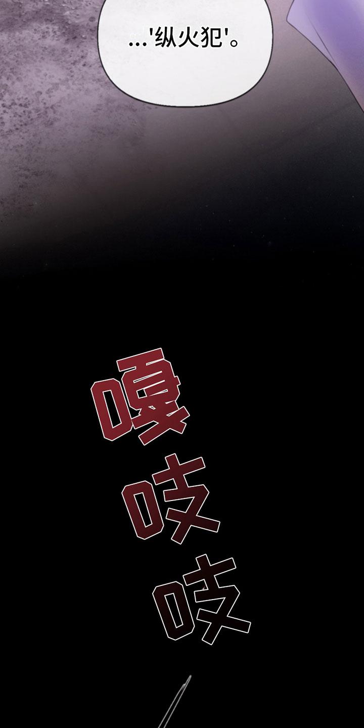 《致命咨询》第3章：纵火犯 第20页