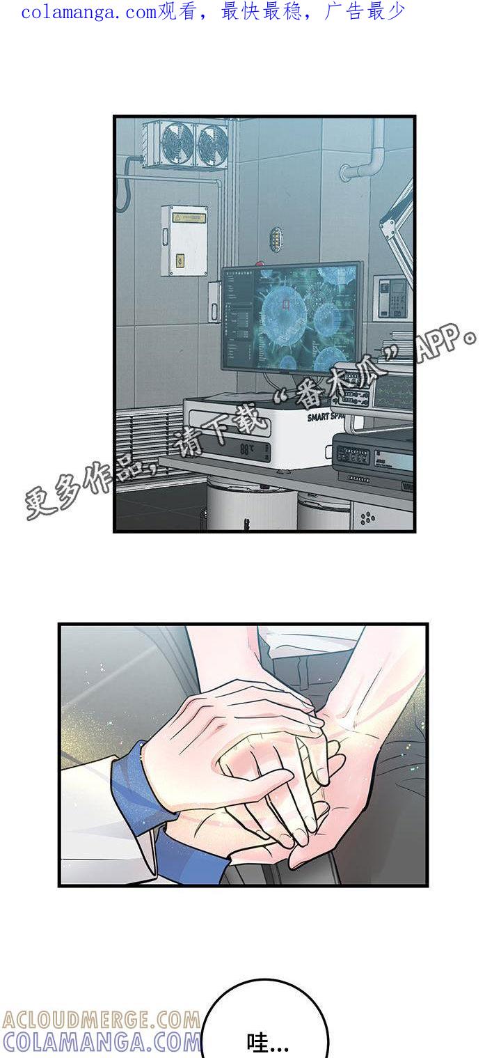 《绝命重逢》第32章：会说话的墙壁 第1页