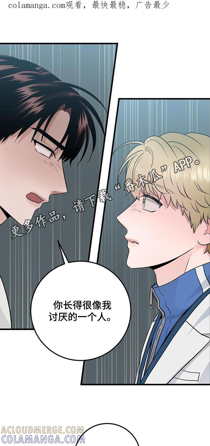 《绝命重逢》第34章：简报 第1页