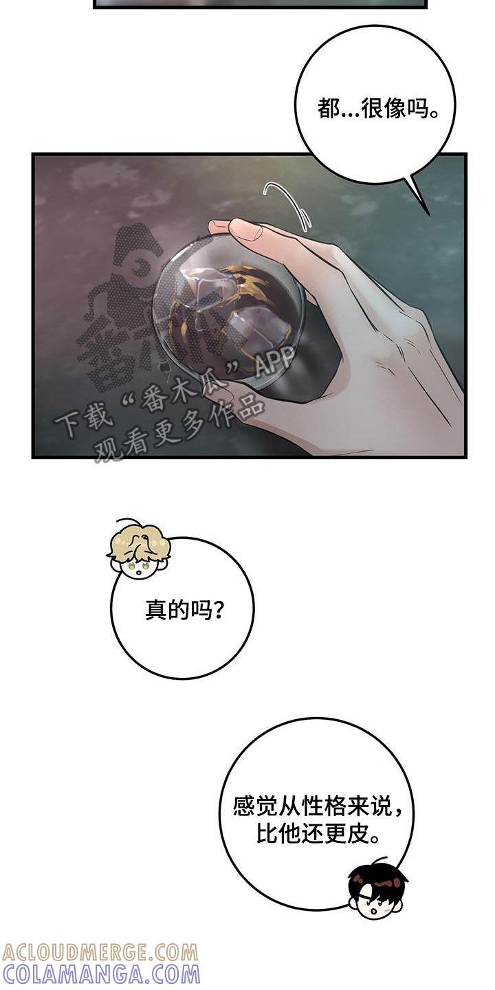 《绝命重逢》第37章：邀请 第17页