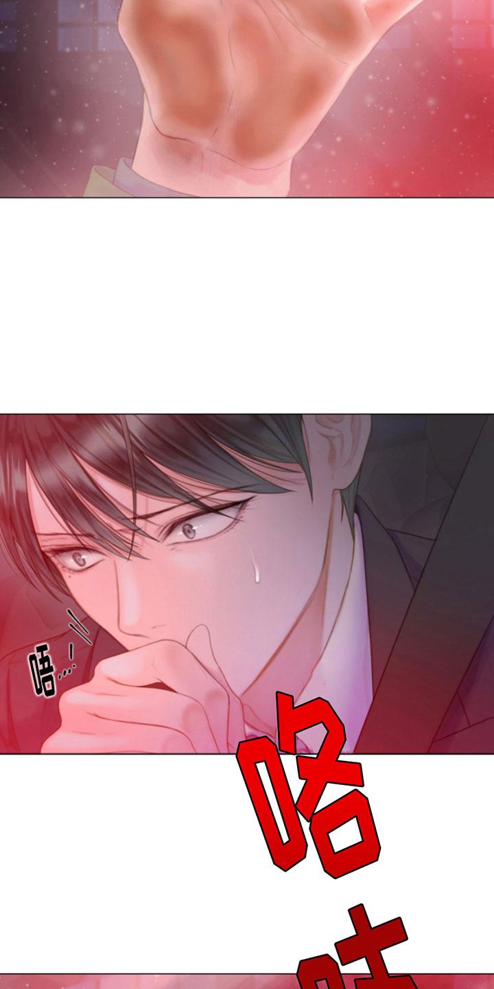《致命咨询》第4章：窗外之人 第2页