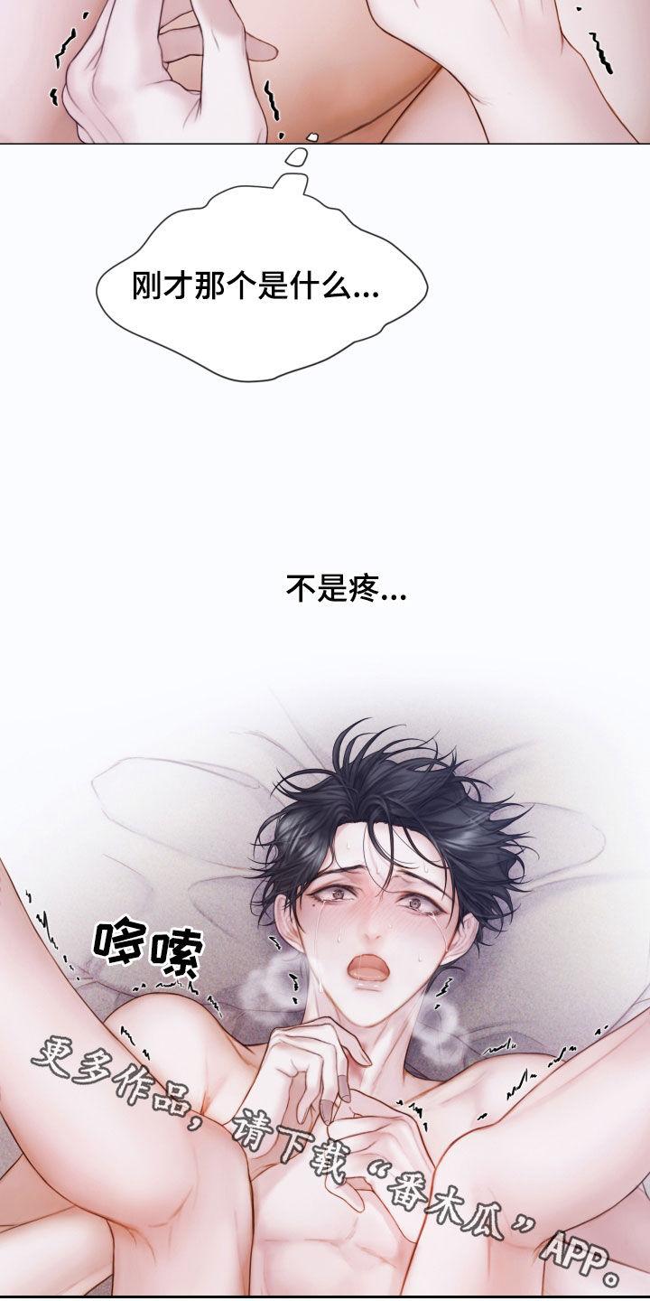 《致命咨询》第46章：另一种感觉 第36页
