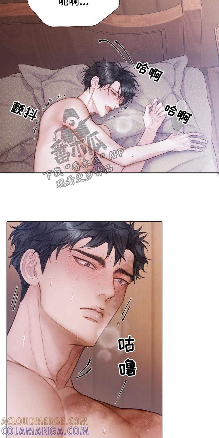 《致命咨询》第47章：替代 第11页