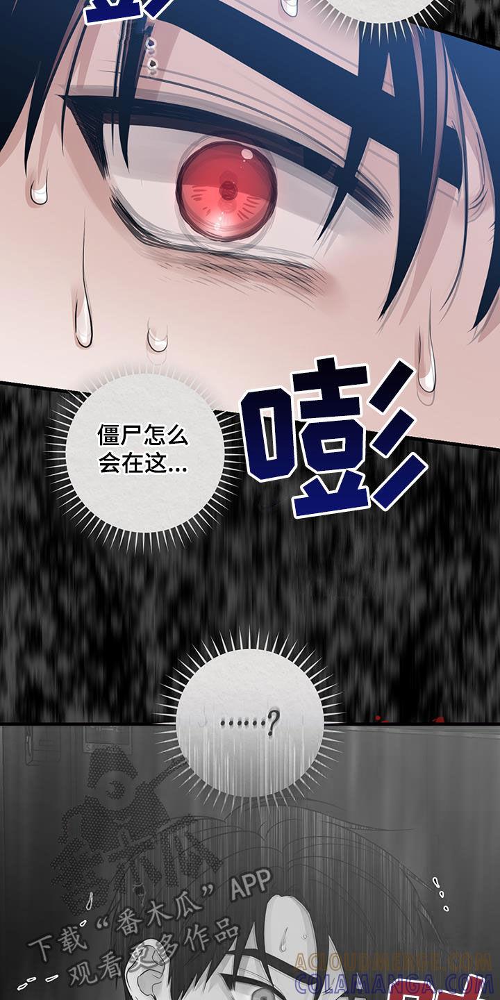 《绝命重逢》第48章：僵尸 第13页