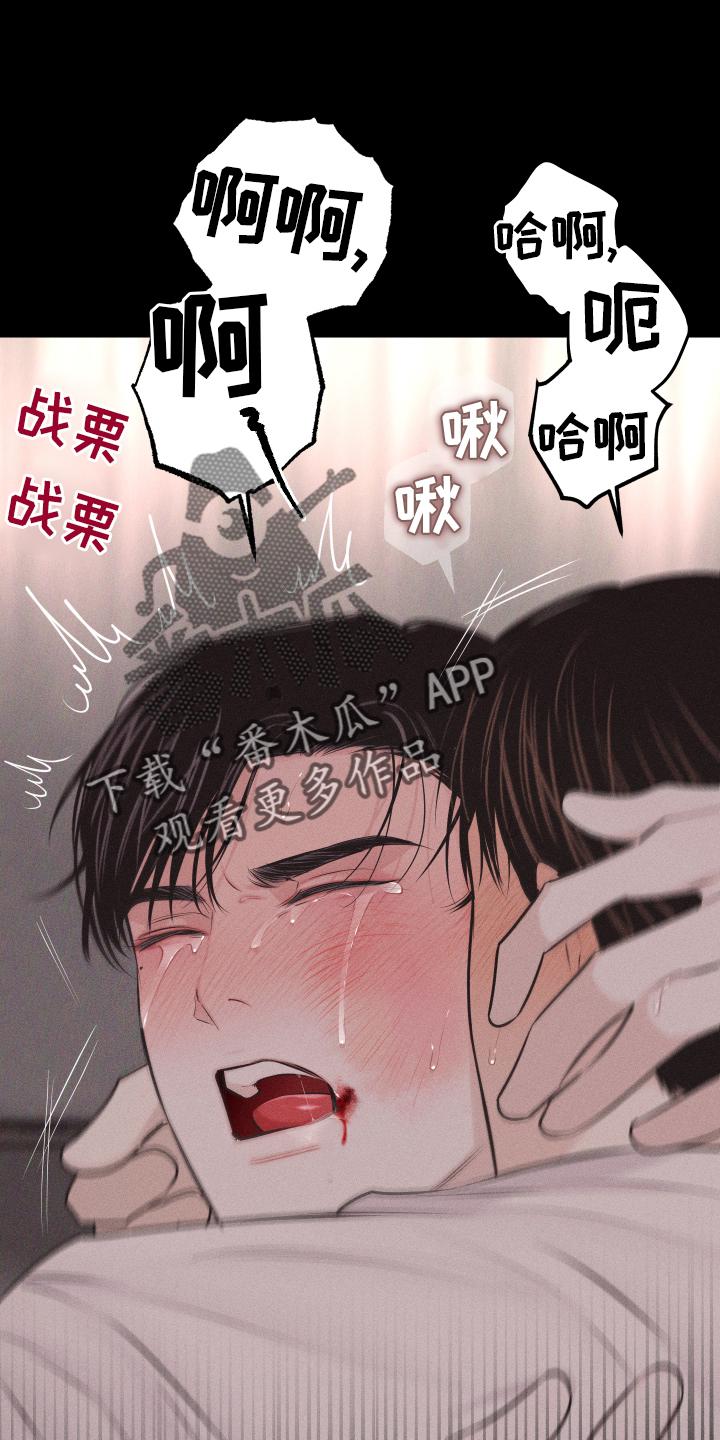 《瓷器》第50章：信号 第4页