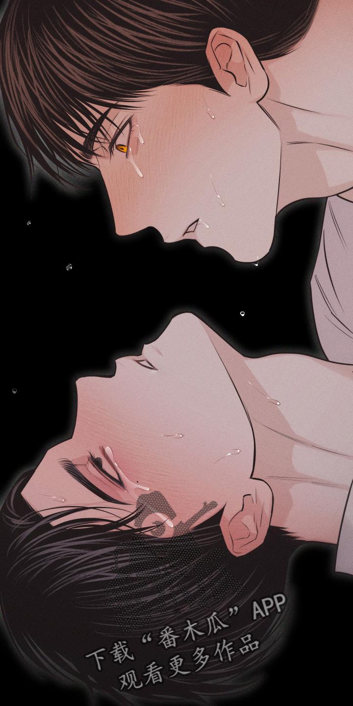 《瓷器》第50章：信号 第14页