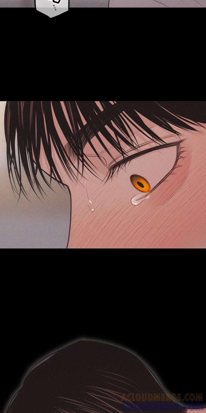 《瓷器》第50章：信号 第13页