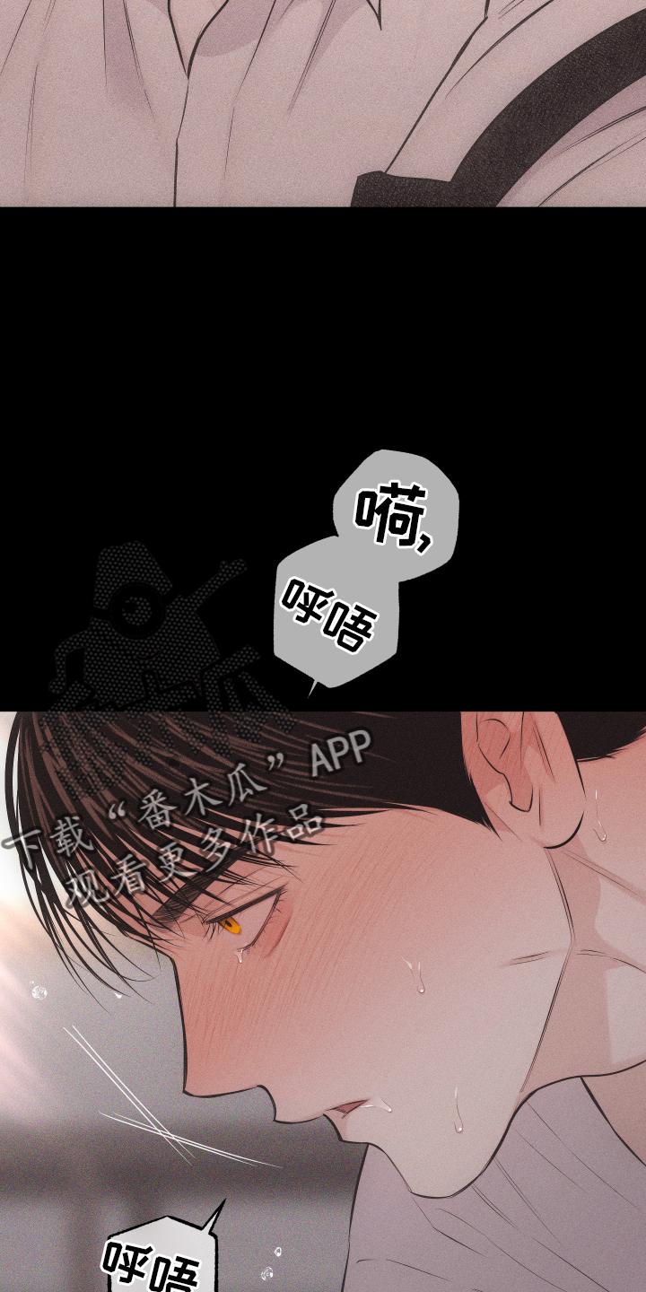 《瓷器》第50章：信号 第12页
