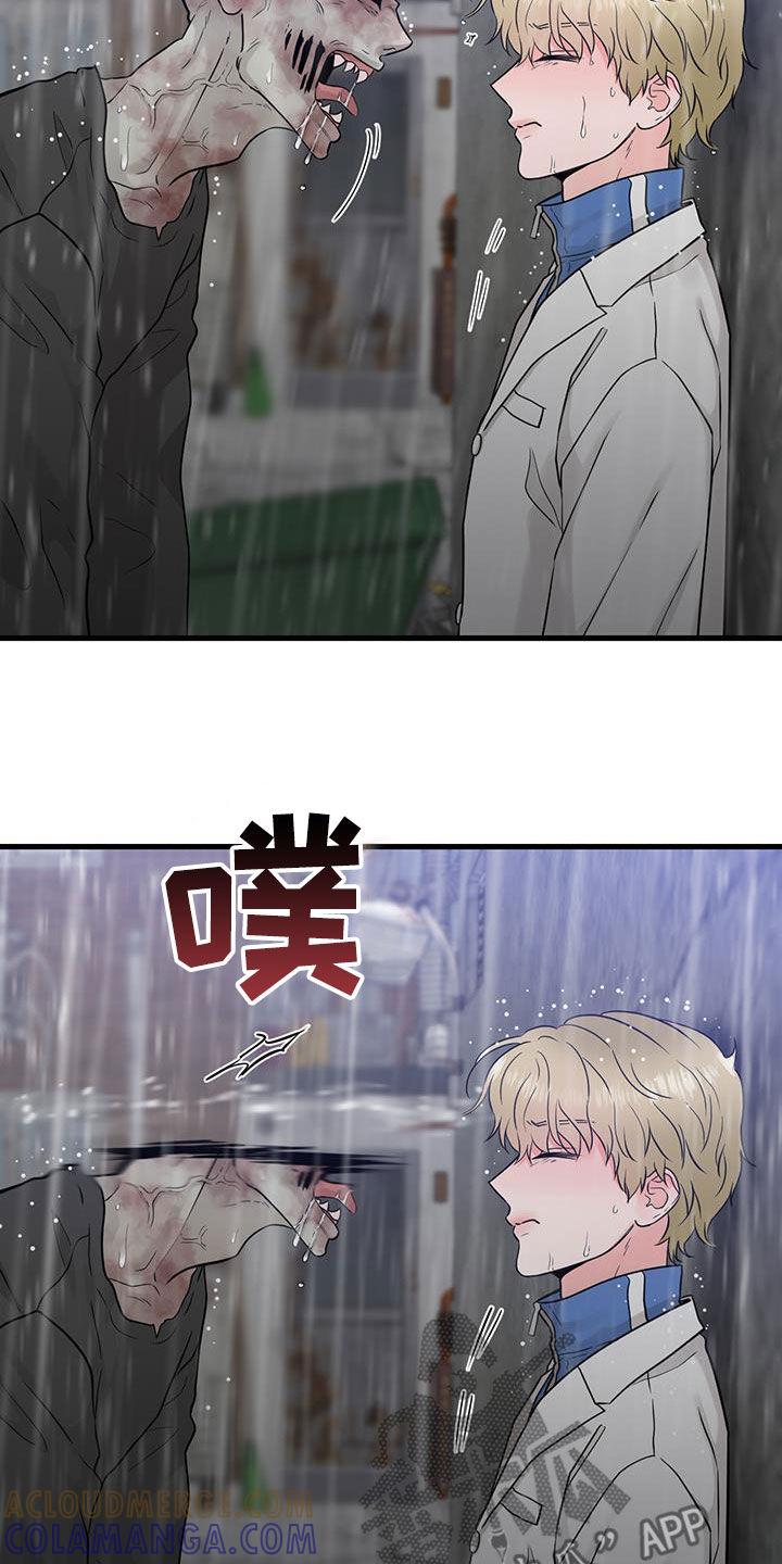 《绝命重逢》第50章：幸存者 第17页