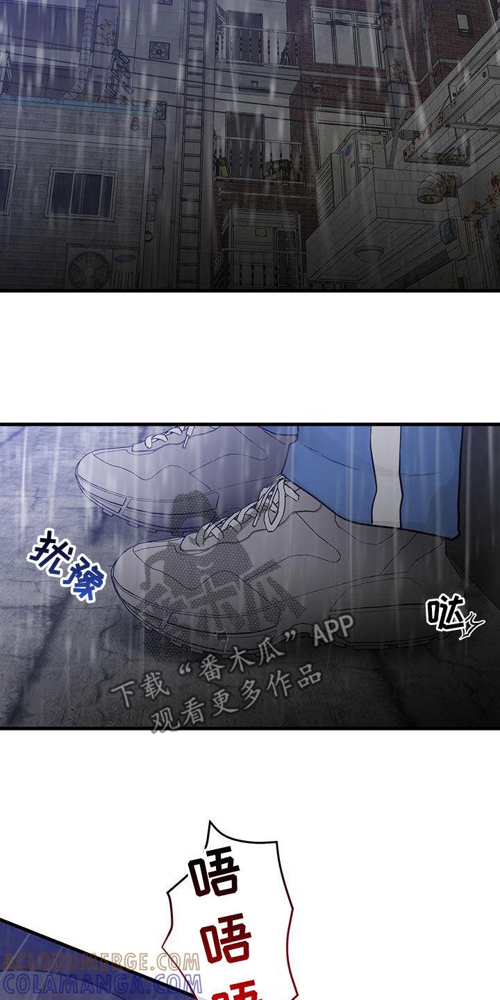 《绝命重逢》第50章：幸存者 第15页