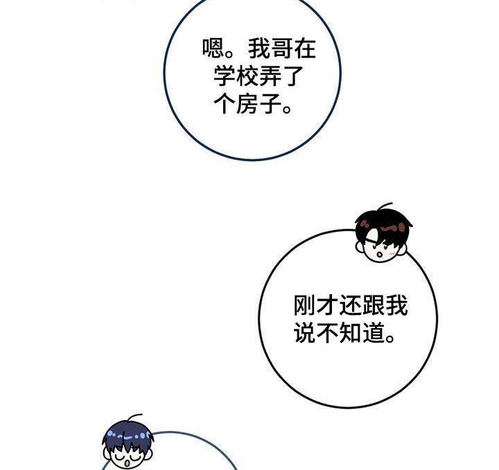 《绝命重逢》第51章：都已经死了 第14页