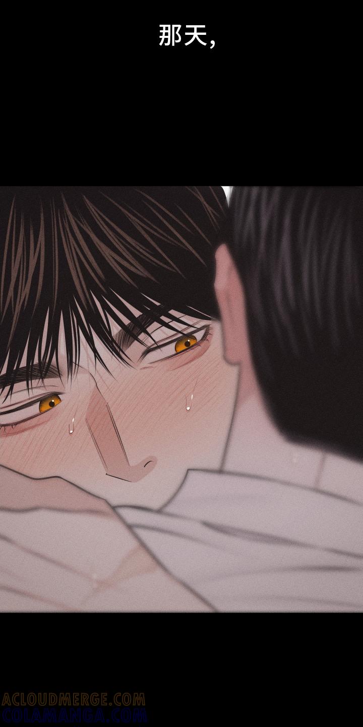 《瓷器》第51章：无法自拔 第5页