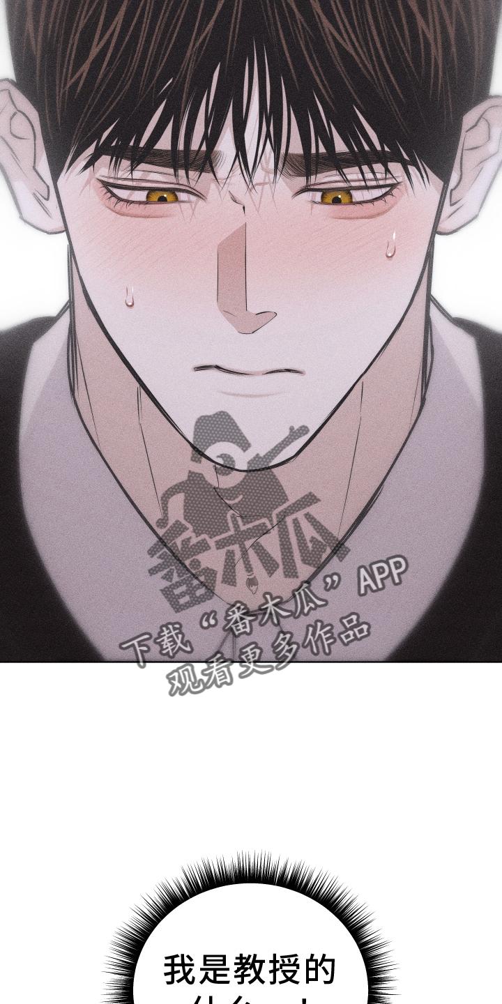 《瓷器》第52章：没有生气 第16页