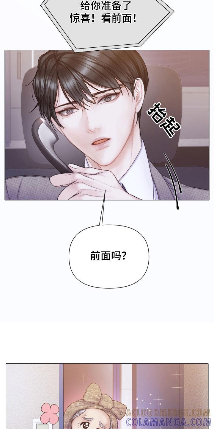 《致命咨询》第53章：惊喜礼物 第15页