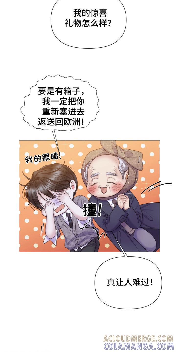 《致命咨询》第53章：惊喜礼物 第17页