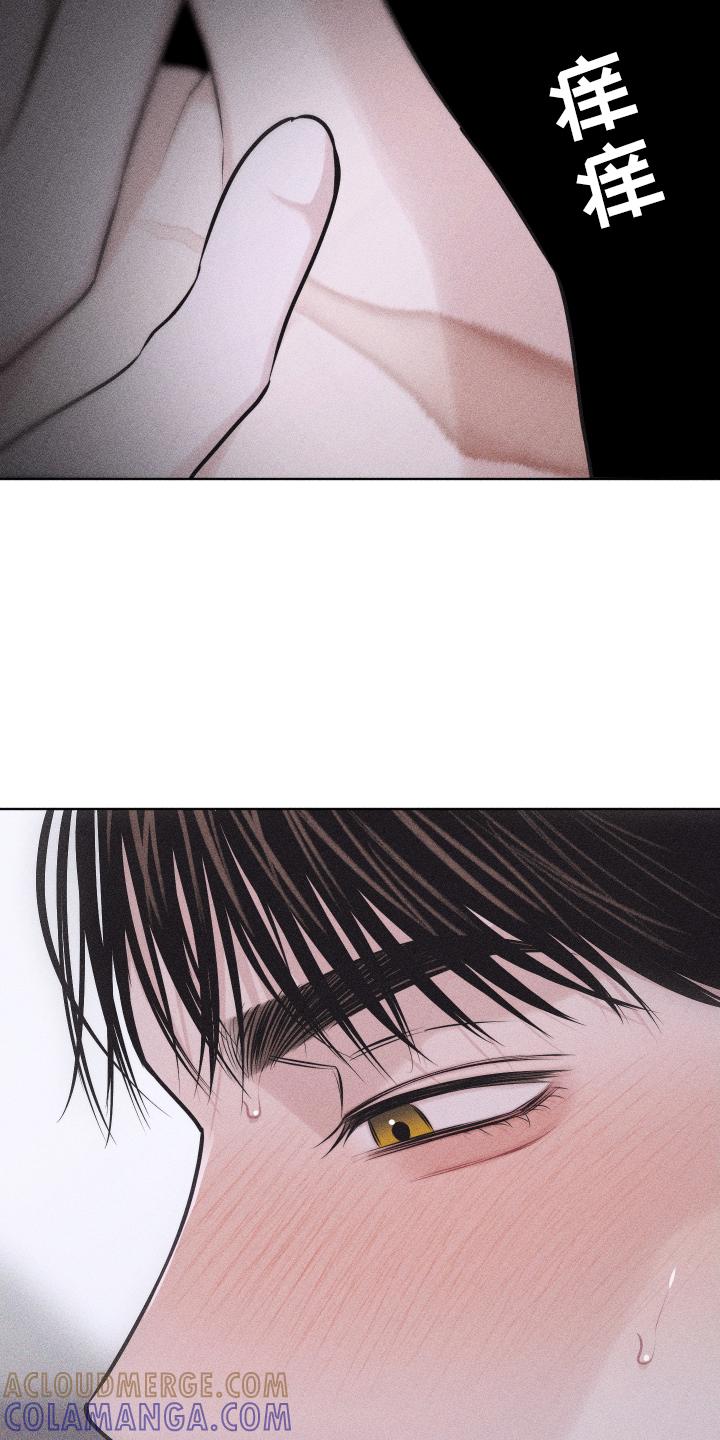 《瓷器》第53章：谢谢你【第一季完结】 第19页